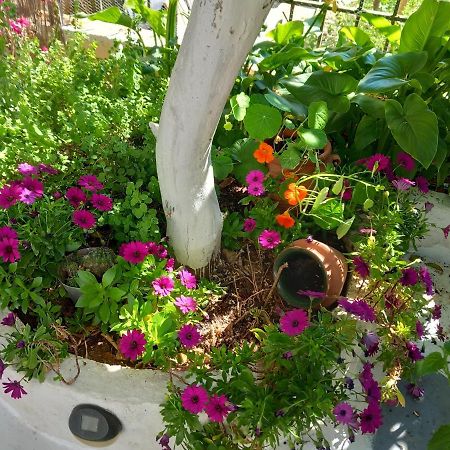 Studio In Garden Poros Town Exterior photo