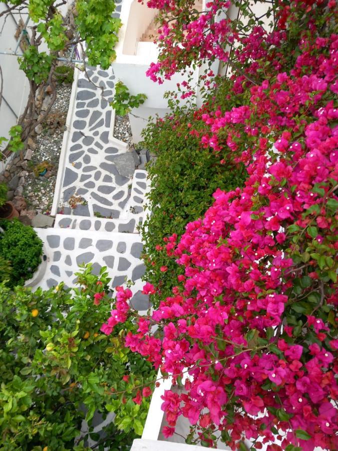 Studio In Garden Poros Town Exterior photo