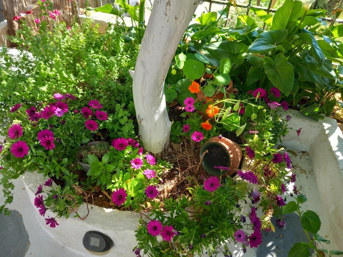 Studio In Garden Poros Town Exterior photo