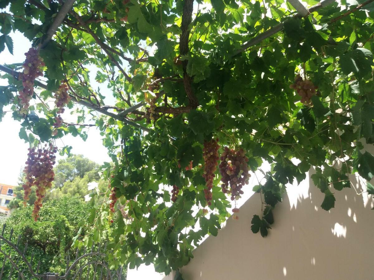 Studio In Garden Poros Town Exterior photo